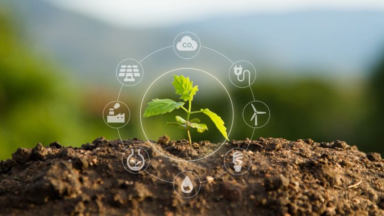 Governments, Businesses, and Consumers Actively Seeking More Environmentally Friendly and Sustainable Solutions