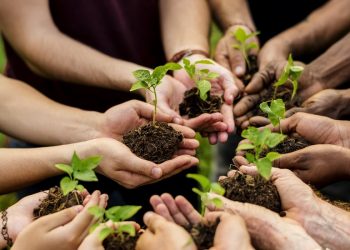 As Global Climate Change Intensifies, Sustainable Development Becomes a Global Focus