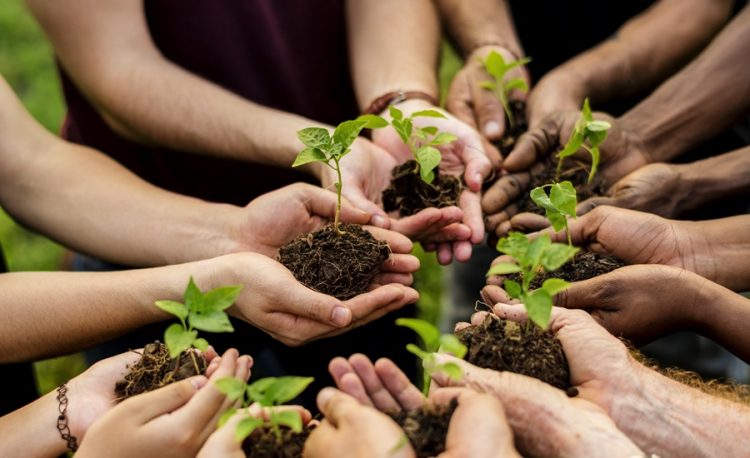 As Global Climate Change Intensifies, Sustainable Development Becomes a Global Focus